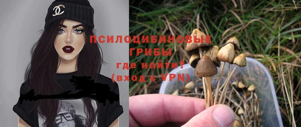 дживик Вязники