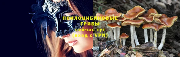 твердый Вязьма