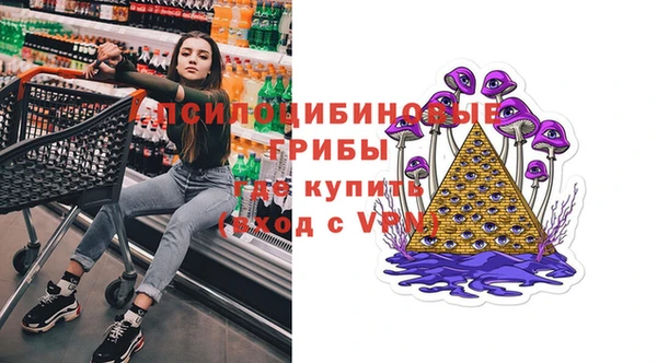 твердый Вязьма