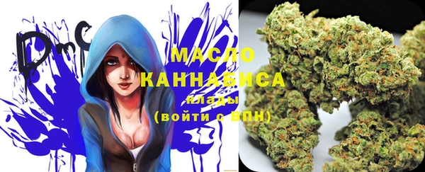 винт Вяземский