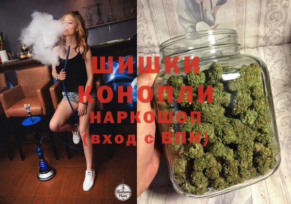 винт Вяземский