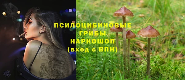 дживик Вязники